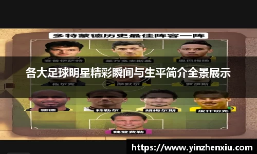 各大足球明星精彩瞬间与生平简介全景展示